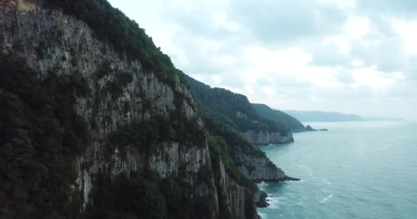 Engebeli Karasu Yüzünde Yeşil Ağaçlar Arka Planda Deniz Drone Videosu — Stok video