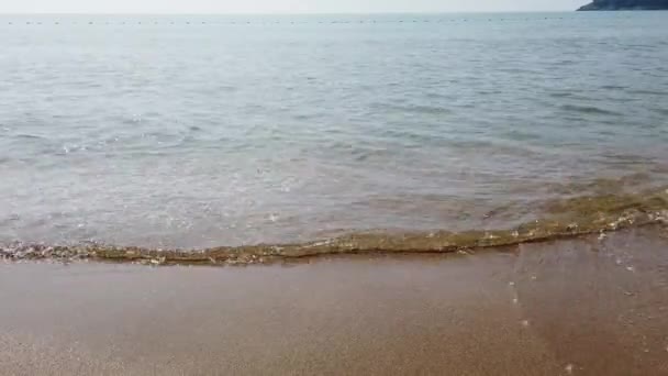 Ondas Quebrando Seixos Perto Surfe Mar Ondas Corre Seixos Costeiros — Vídeo de Stock