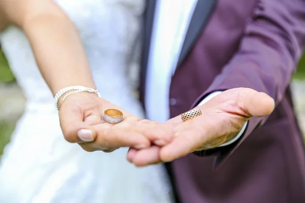 부부의 결혼반지 개에는 남녀의 결혼식 과그들의 금속으로 결혼반지가 — 스톡 사진