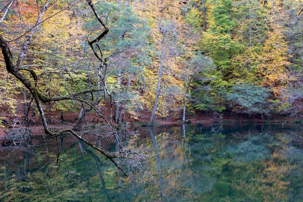 호수와 속에서 야영을 수있다 터키에는 호수가 푸르스름 초록색 반사광 — 스톡 사진