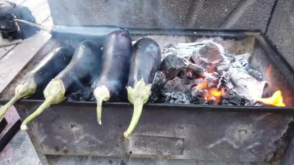 Ailes Viande Poulet Qui Tournent Sur Barbecue Grillage Viande Est — Video