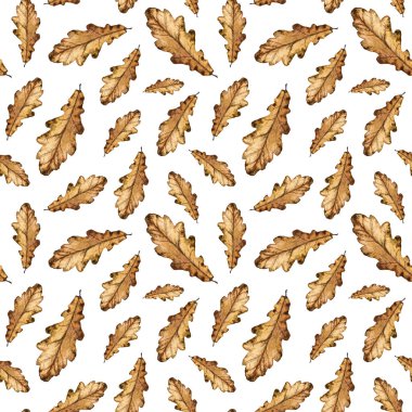 El boya suluboya sonbahar arka plan düşen yaprak meşe