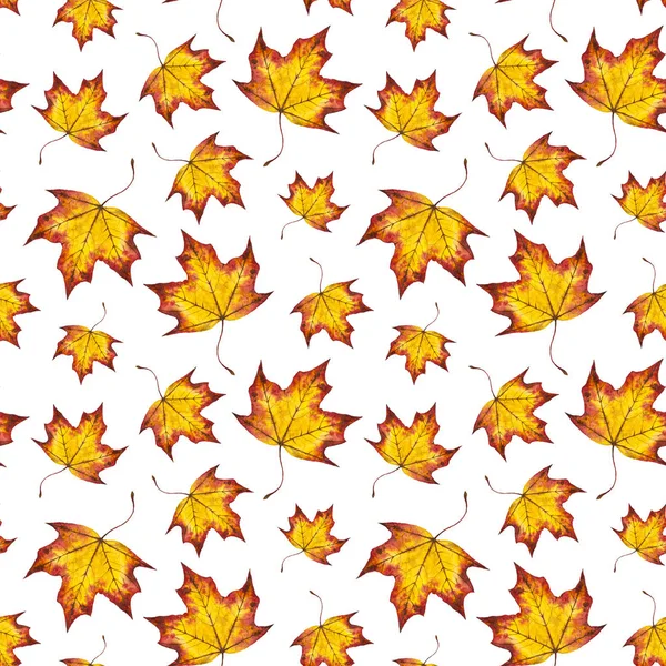 Hand painted watercolor autumn background of falling leaf maple — Stock Photo, Image