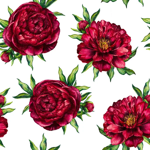 Watercolor seamless pattern red peony