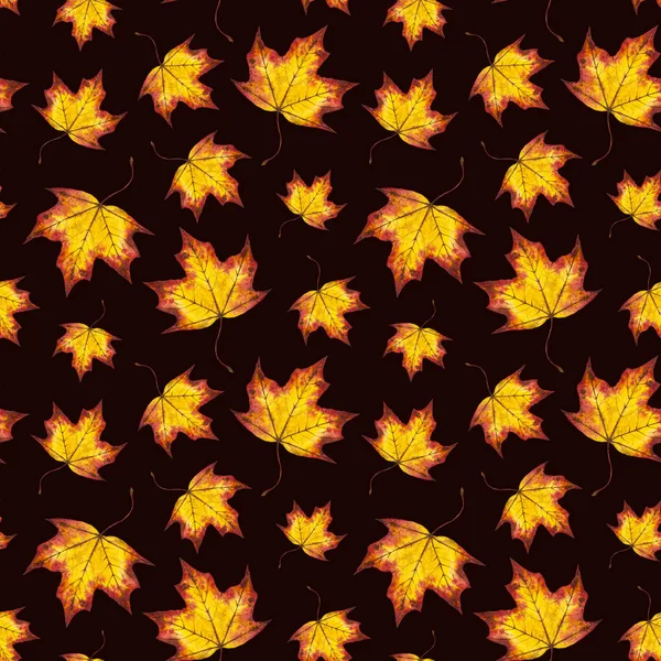 Hand painted watercolour autumn background of falling leaf maple — Stock Photo, Image