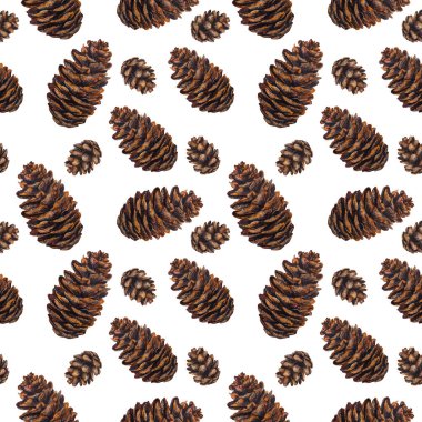 Sulu Boya Dikişsiz desen çam kozalakları