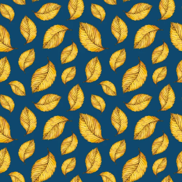 노란 수채화가 완벽 한 패턴 느릅나무 잎 — 스톡 사진