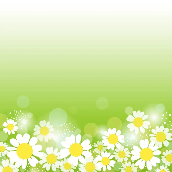 Sommer Hintergrund mit Gänseblümchen. Vektorillustration. — Stockvektor