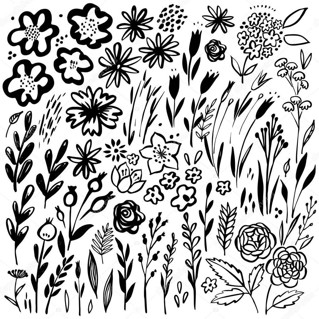 Hand drawn floral set. Vector floral elements. Collection with leaves and flowers.