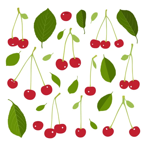 Kiraz ve beyaz arka plan yapraklarda kümesi. Vektör çizim.