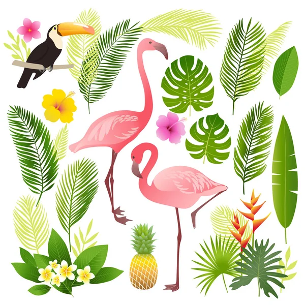 Trópusi készlet. Pálma levelek, trópusi növények, virágok, ananász, flamingo, tukán. — Stock Vector