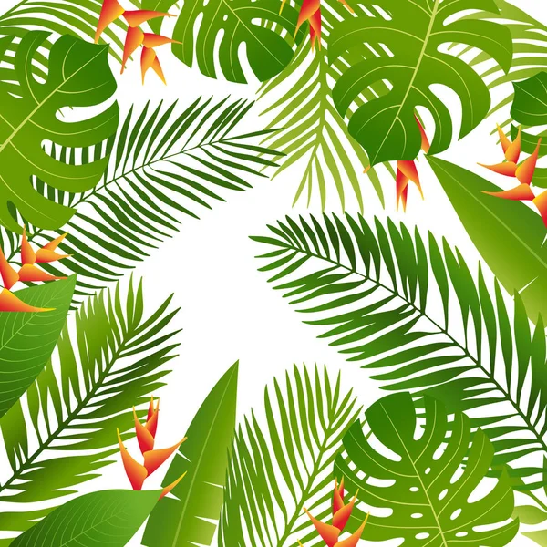 Zomer tropische design met palm bladeren, tropische planten, bloemen. Zomer achtergrond. — Stockvector