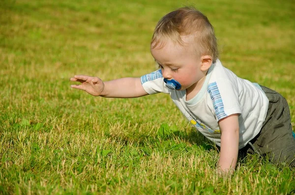 Dziecko czołga się na czworaka po trawie.. — Zdjęcie stockowe