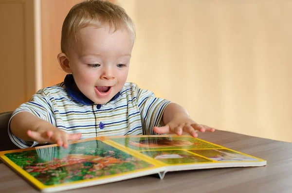 Baby boy is looking at animal book. 로열티 프리 스톡 이미지