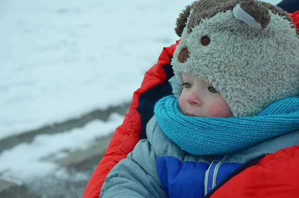 Closeup portrait of little child sitiing in the riding stroller during winter 스톡 이미지