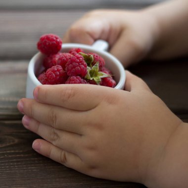  Ahududu bir fincan bebeğin ellerini tutun