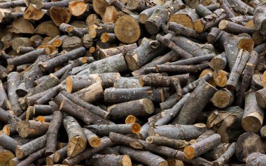 Boyutlanmış günlükleri. Yakacak odun. Ahşap. Kereste. Arka plan. Doku.