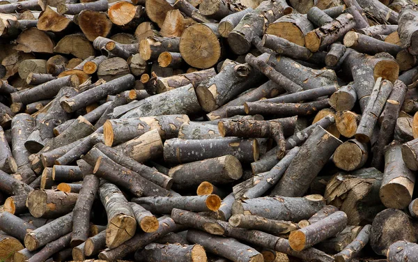 Boyutlanmış günlükleri. Yakacak odun. Ahşap. Kereste. Arka plan. Doku.