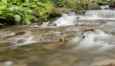 Dağ şelale manzarası. Yakın çekim