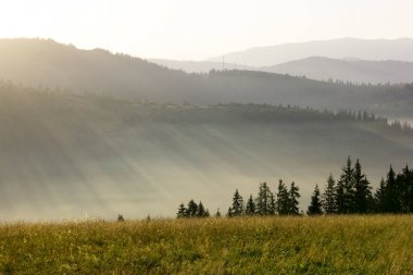 Dağlarda yaz aylarında puslu şafak.