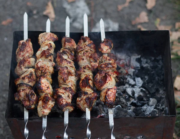 Bbq feestje. Shish kebab op spiesen — Stockfoto