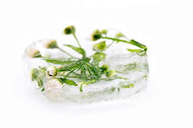 Beyaz yüzeydeki bir buz parçasında donmuş yaprak. Beyaz arkaplanda buz.