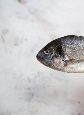 Mavi ahşap bir arka planda taze dorado balığı. Balık tarifi aranacak yer