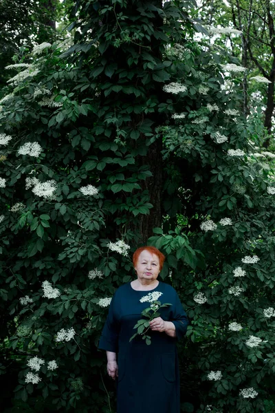Elderly Woman Background Flowering Jasmine Bush — Stock Photo, Image