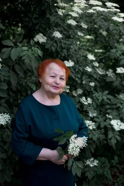 Yasemin Çalılarının Arka Planında Yaşlı Bir Kadın Çiçekli Yaşlı Kadın — Stok fotoğraf