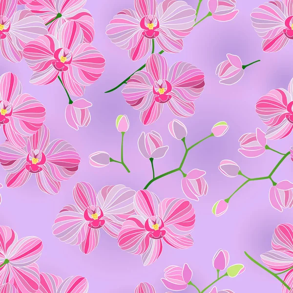 Vektör seamless modeli. Şube dekorasyon arka plan için güzel pembe Phalaenopsis orkide.
