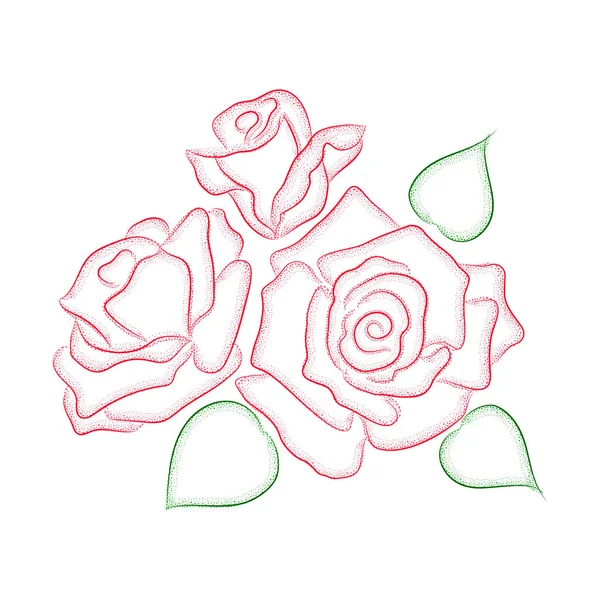 Vektör çizim. Konturlar ve noktalar boyalı üç güzel güller. — Stok Vektör