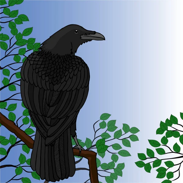 Vektorillustration. schwarze Krähe sitzt auf einem Baum mit Ästen und Blättern. — Stockvektor