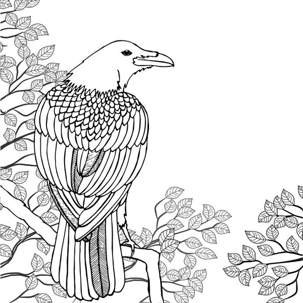 Vector illustration. Raven sitting on a tree with branches and leaves. Black and white illustration for coloring.
