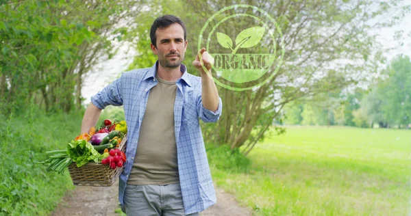 Футуристический портрет молодого человека, делающего выбор Органический, держащего свежие овощи в корзине. Концепция: биологические, биопродукты, биоэкология, выращенные собственными руками, вегетарианцы, здоровые салаты — стоковое фото