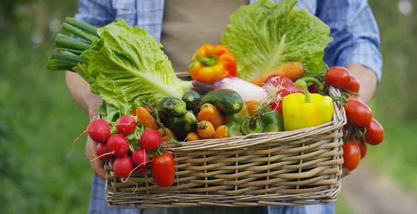 Portrait of a happy young farmer holding fresh vegetables in a basket. On a background of nature The concept of biological, bio products, bio ecology, grown by own hands, vegetarians, salads healthy — Stock Photo, Image