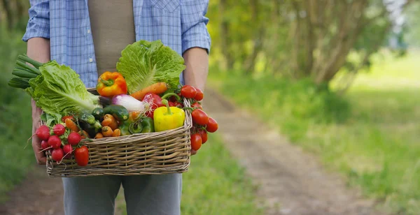 Porträtt av en lycklig ung jordbrukare hålla färska grönsaker i en korg. På en bakgrund av naturen begreppet biologisk, bioprodukter, bio ekologi, växt med egna händer, vegetarianer, sallader friska — Stockfoto