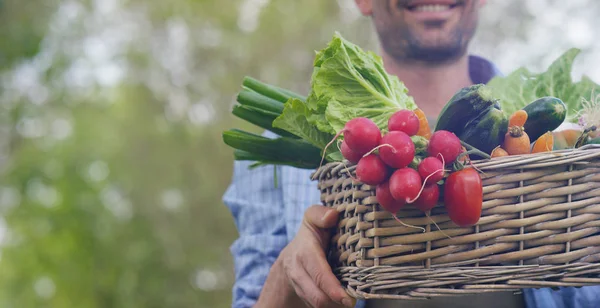 Retrato de um jovem agricultor feliz segurando vegetais frescos em uma cesta. Em um contexto da natureza O conceito de biológico, bio produtos, bio ecologia, cultivado por próprias mãos, vegetarianos, saladas saudáveis — Fotografia de Stock