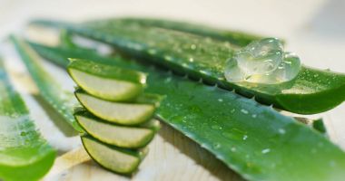 Aloe vera bileşimi