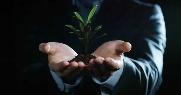 young plant growing in the hands of an experienced seller or bank or insurance broker. concept for investment and passive income for retirement and annuities or remote assistance and connections