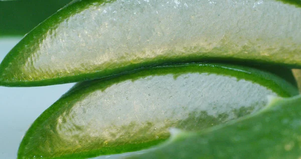 Aloe vera bileşimi — Stok fotoğraf