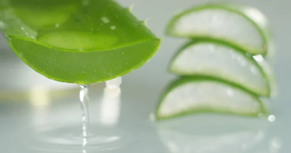 Samenstelling van aloe vera — Stockfoto