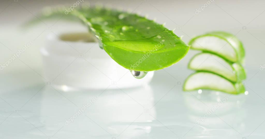 Composition of aloe vera