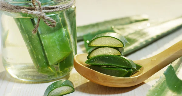 Composizione di aloe vera — Foto Stock