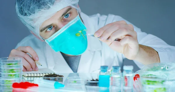 Ein Wissenschaftler in einem Labor analysiert den Boden und die darin befindlichen Pflanzen, um das Pflanzendna zu sammeln. Konzept: Analyse, dna, Bio, Mikrobiologie, Augmented Reality, Biochemie, immersive Technologie — Stockfoto