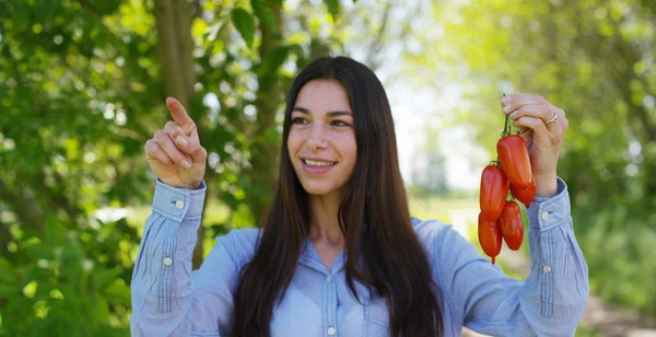Hermosa joven sosteniendo un tomate limpio en su mano, en el fondo de la naturaleza. Concepto: biología, bio productos, bio ecología, cultivar frutas, producto natural puro y fresco, dieta, saludable . — Foto de Stock