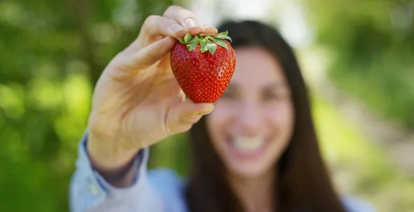 Hermosa joven sosteniendo una fresa limpia en su mano, en el fondo de la naturaleza. Concepto: biología, bio productos, bio ecología, cultivar frutas, producto natural puro y fresco, dieta, saludable . —  Fotos de Stock