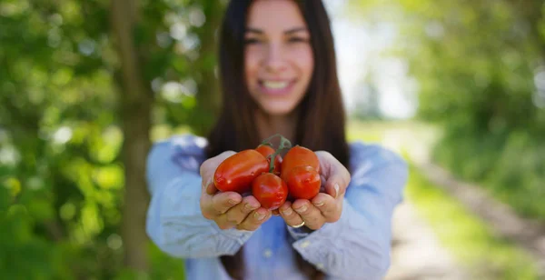 Hermosa joven sosteniendo un tomate limpio en la mano, en el fondo de la naturaleza. Concepto: biología, bio-productos, bio-ecología, cultivar verduras, productos naturales puros y frescos, vegetarianos, saludables — Foto de Stock