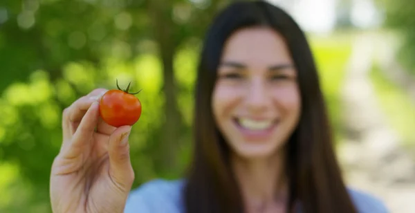 Hermosa joven sosteniendo un tomate limpio en la mano, en el fondo de la naturaleza. Concepto: biología, bio-productos, bio-ecología, cultivar verduras, productos naturales puros y frescos, vegetarianos, saludables — Foto de Stock