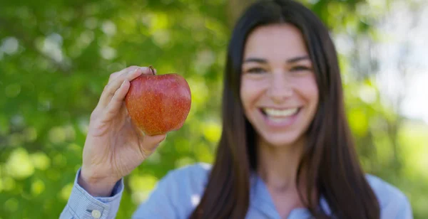 Gadis muda yang cantik memegang tangan apel merah matang segar, di latar belakang alam. Konsep: biologi, produk bio, ekologi biologi, buah yang tumbuh, diet, produk alami yang bersih dan segar, lingkungan — Stok Foto