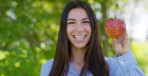 Vacker ung flicka håller i händerna färska mogna röda äpple, i bakgrunden av naturen. Begrepp: biologi, bioprodukter, bio ekologi, växande frukt, kost, ren och fräsch naturprodukt, miljö — Stockfoto